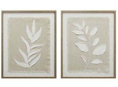 Obraz na pltne rastlina 2 druhy 40x50x2,2 cm